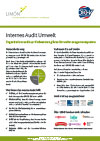 Vorschau Flyer Limon Internes Audit Umwelt